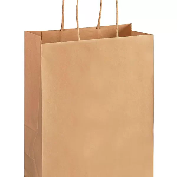 kraft paper bag with handle